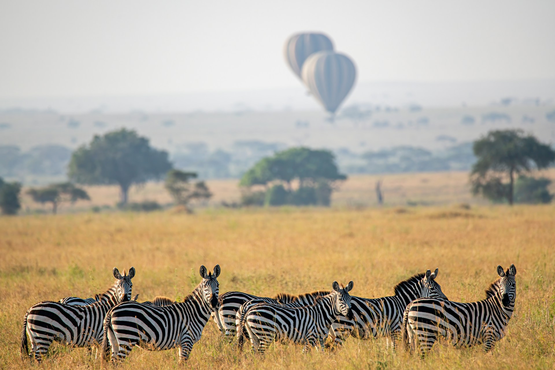 Where to Visit in Kenya in 2025