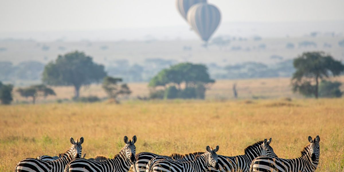 Where to Visit in Kenya in 2025