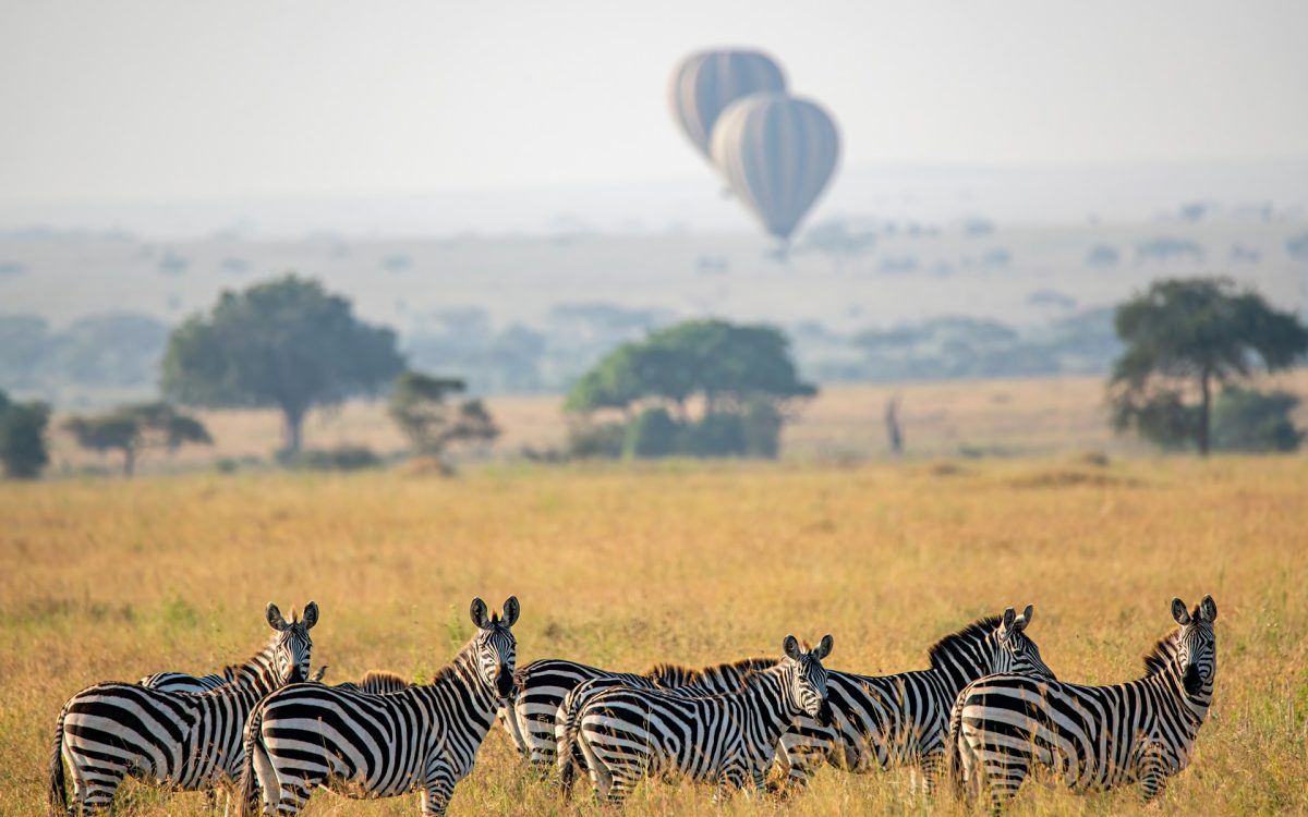 Where to Visit in Kenya in 2025